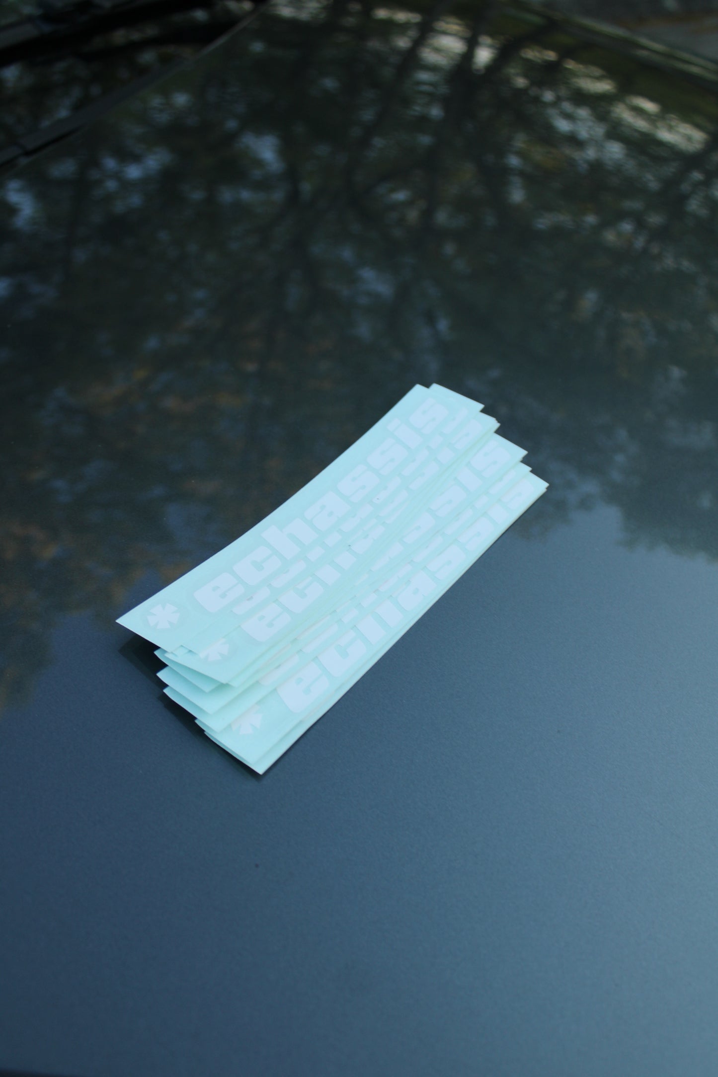 * echassis Sticker